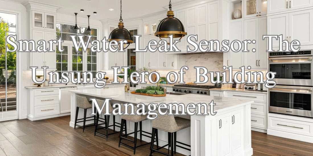 Smart Water Leak Sensor: The Unsung Hero of Building Management