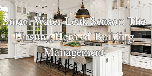 Smart Water Leak Sensor: The Unsung Hero of Building Management